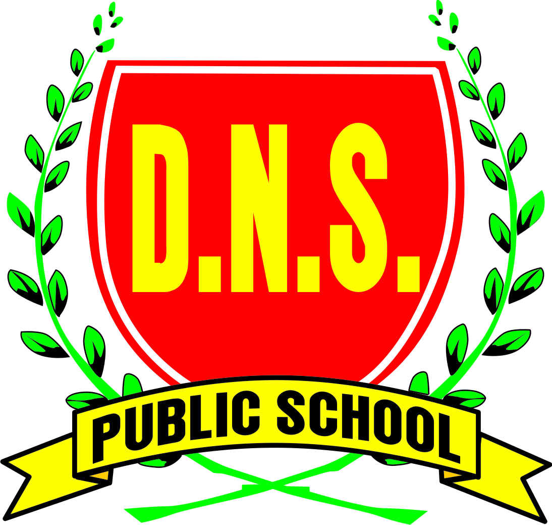 DNS Public School